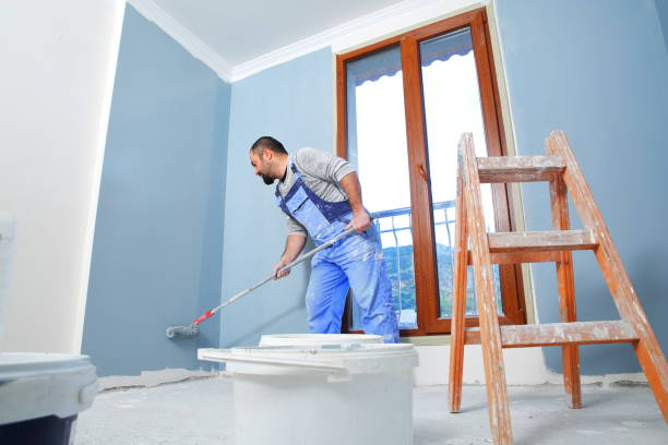 Best Mold Odor Removal Services  in Abbeville, SC