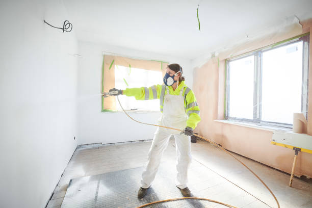  Abbeville, SC Mold Removal Pros