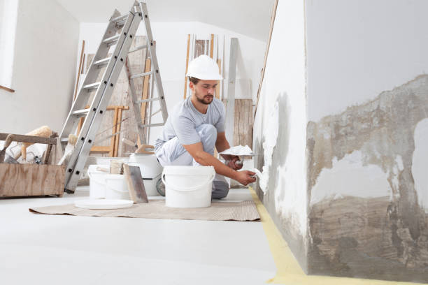 Best Residential Mold Inspection & Testing  in Abbeville, SC