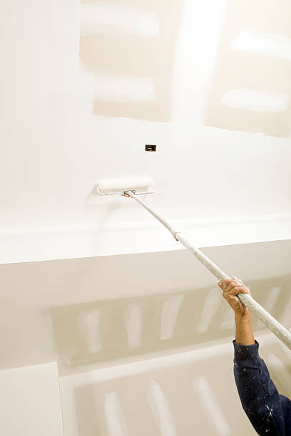 Best Mold Removal for HVAC Installations  in Abbeville, SC